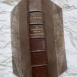 Hayem Le Don Juanisme & don Juan d’Armana 1886 - La Librairie Antique