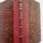 Hayem l’homme au XIXe siècle conférence 1885 - La Librairie Antique