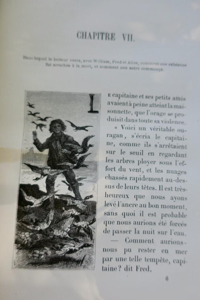 Lost in the Ice: Arctic Expedition Account
