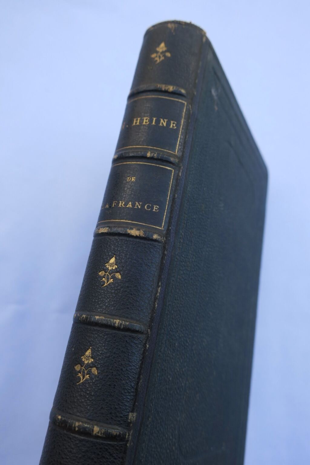 Heine's observations on France