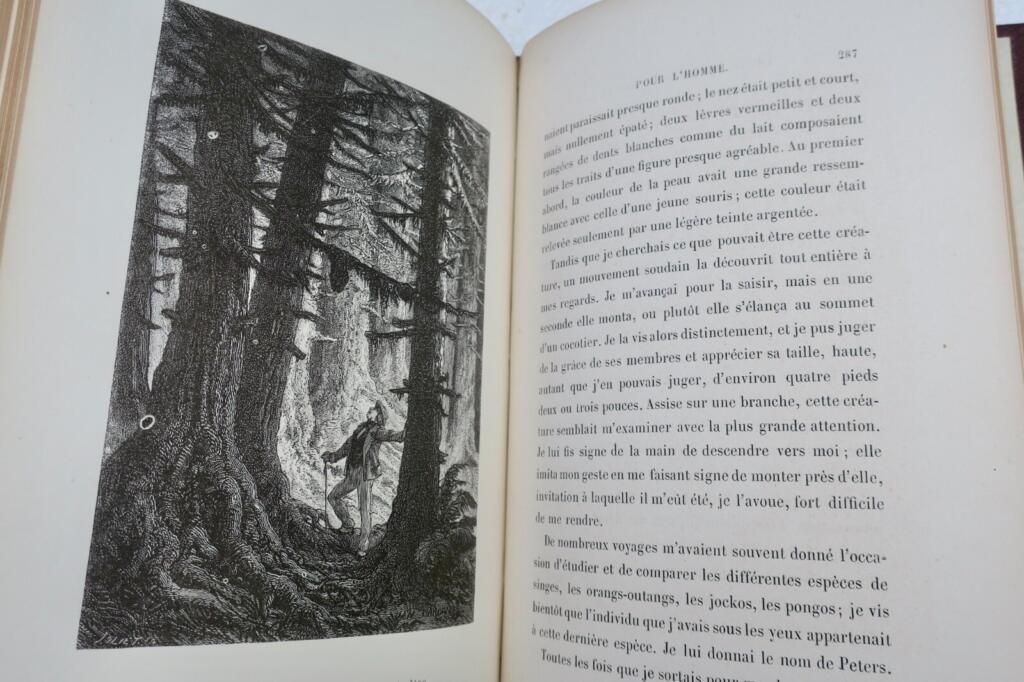 Henry Berthoud La cassette des sept amis – Contes Yan Dargent 1869