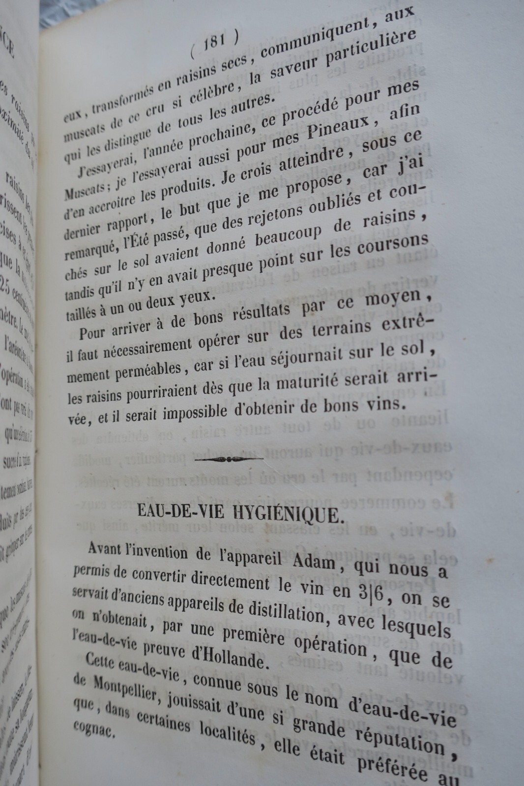 Agrarische Bulletin aus Hérault - Image 4