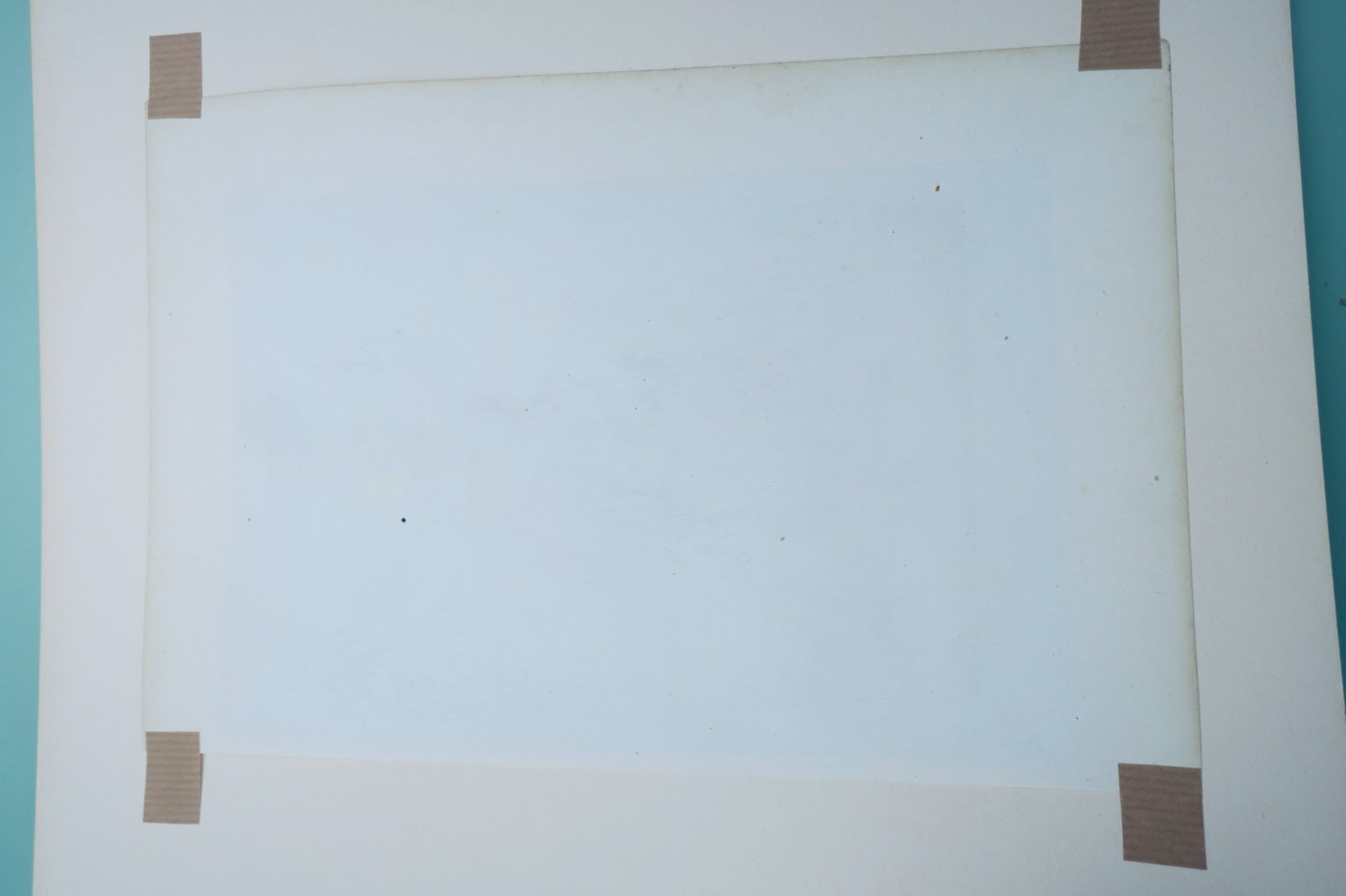 Hérisson Farbengravur - Image 3