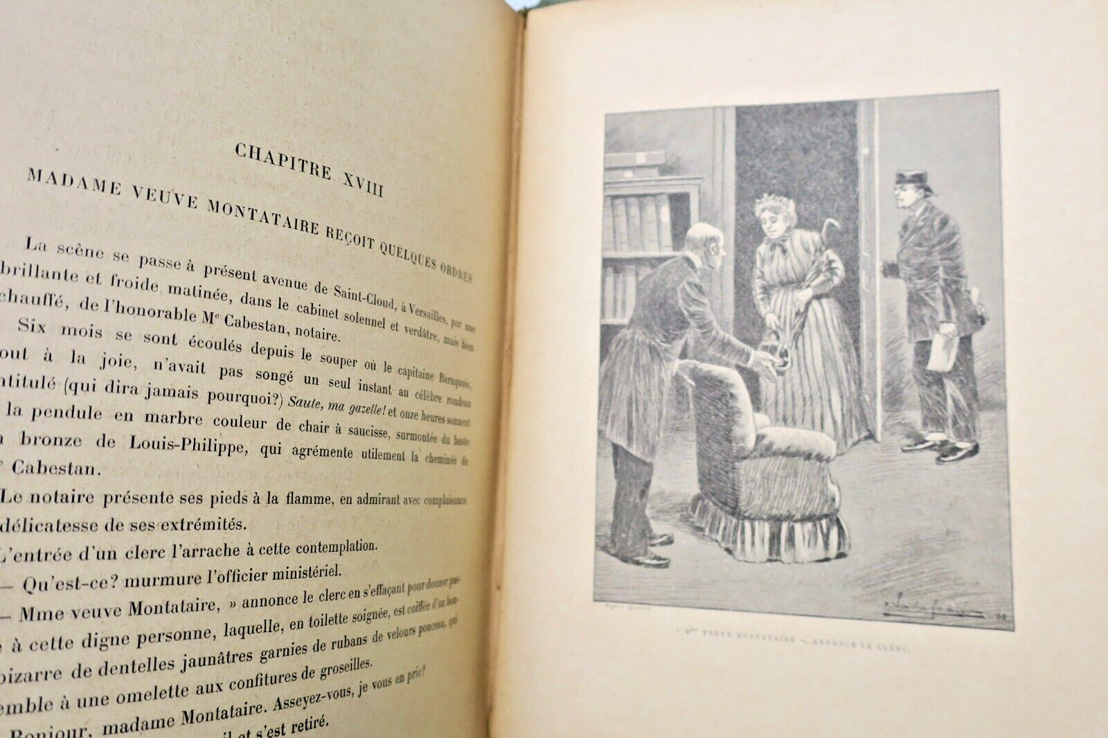 Arctic Adventures of Mr Barnabé from Versailles - Image 2