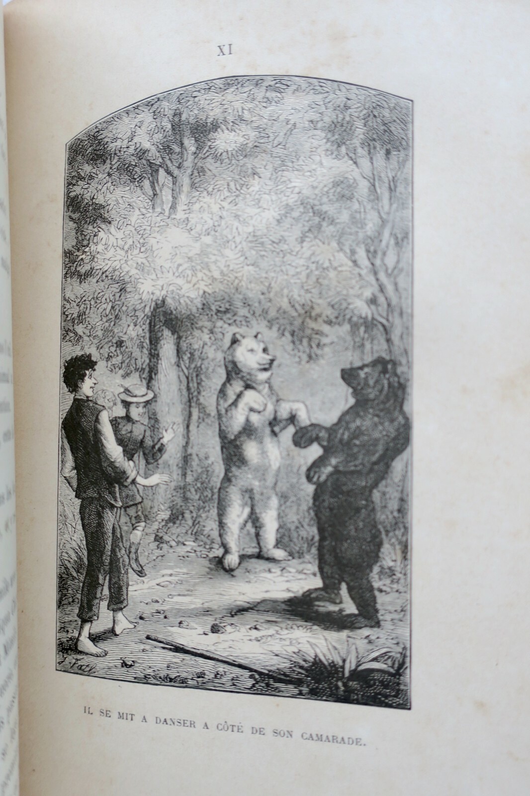 風変わりな旅の物語 - Image 3