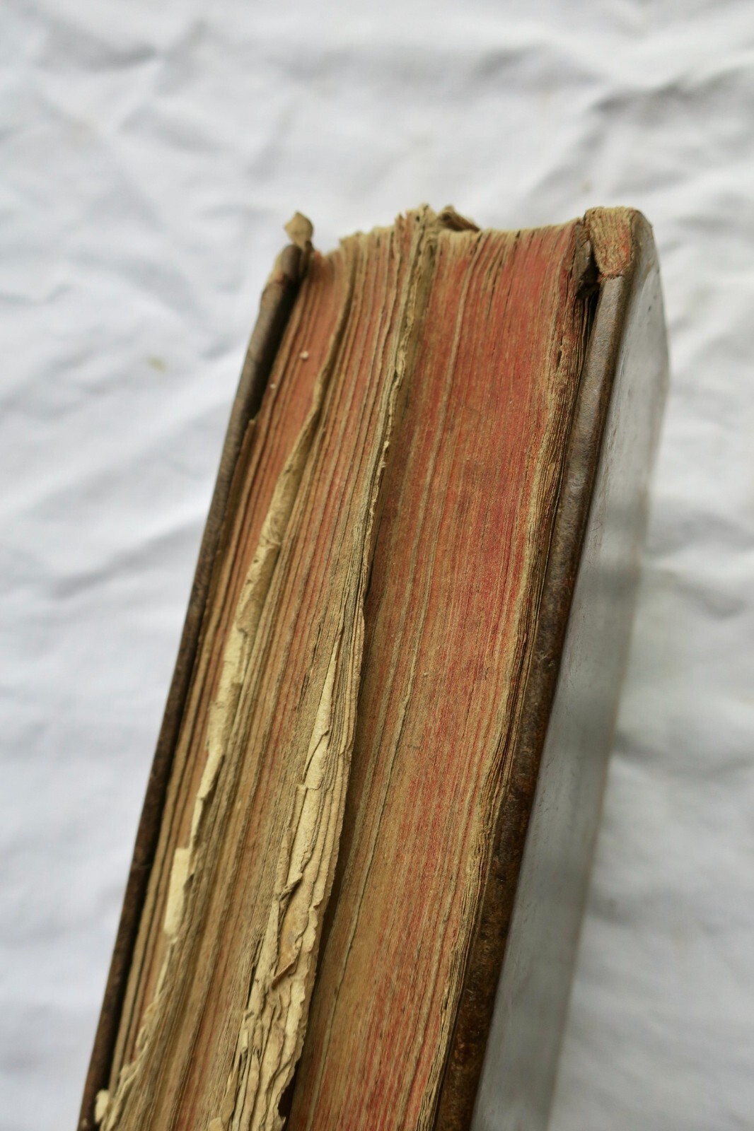 1728年の枢機卿の祈祷書<span class="lla-card-orig-wrap"><span class="lla-card-orig">❦ HEURES IMPRIMEES PAR L’ORDRE DE MONSEIGNEUR LE CARDINAL DE NOAILLES 1728</span></span> - La Librairie Antique