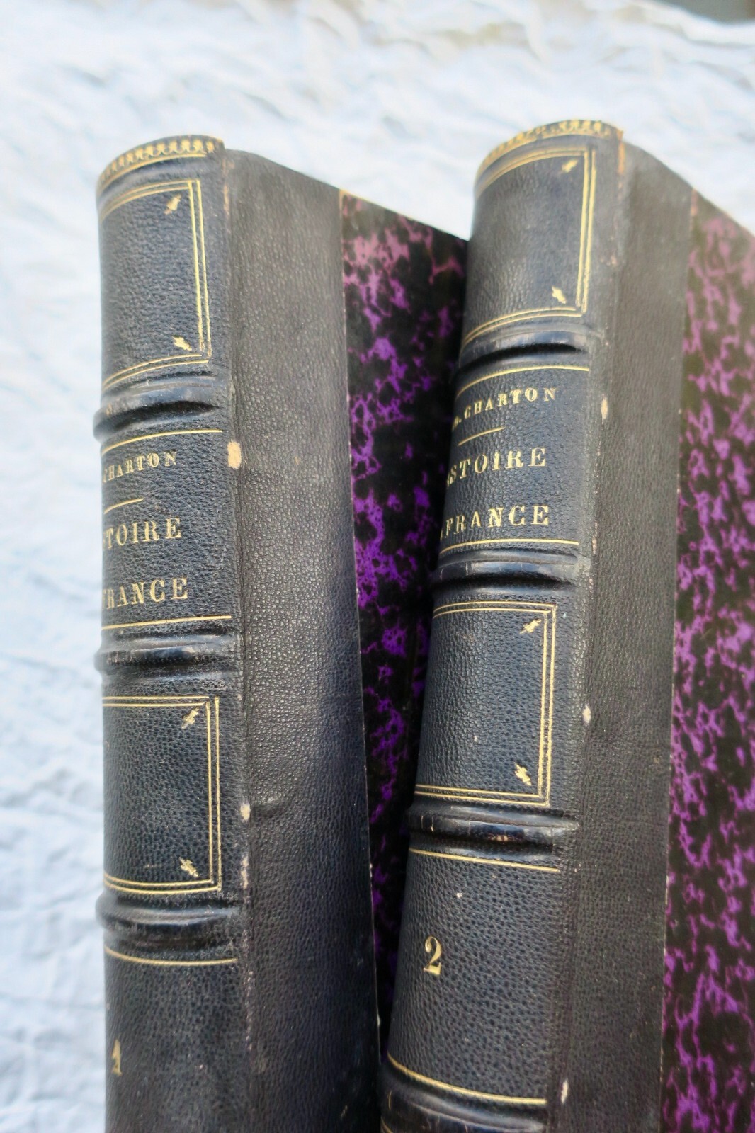Histoire de France depuis les temps les plus anciens jusqu’à… 1859 - La Librairie Antique