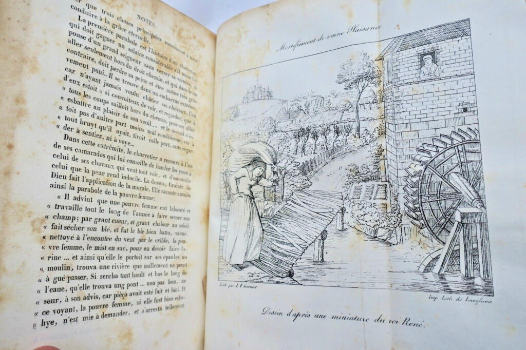Biografie eines Königs der Renaissance