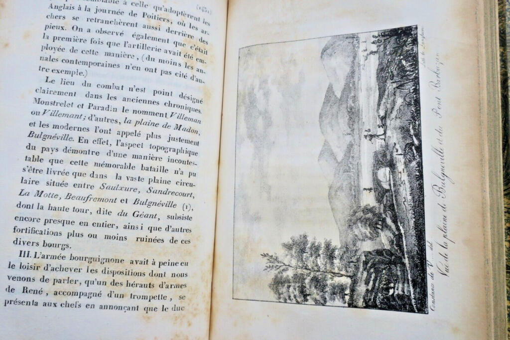 Biografie eines Königs der Renaissance