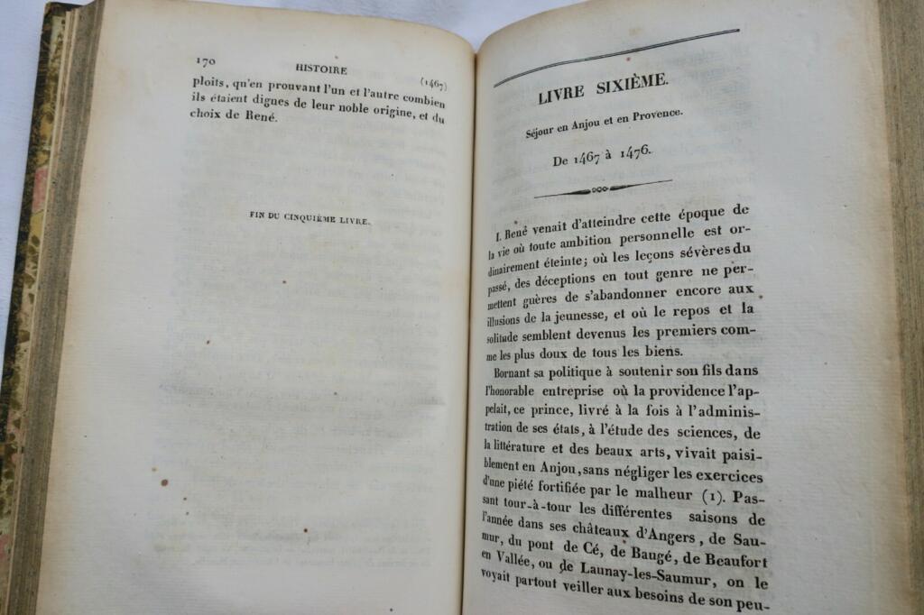 Biografie eines Königs der Renaissance