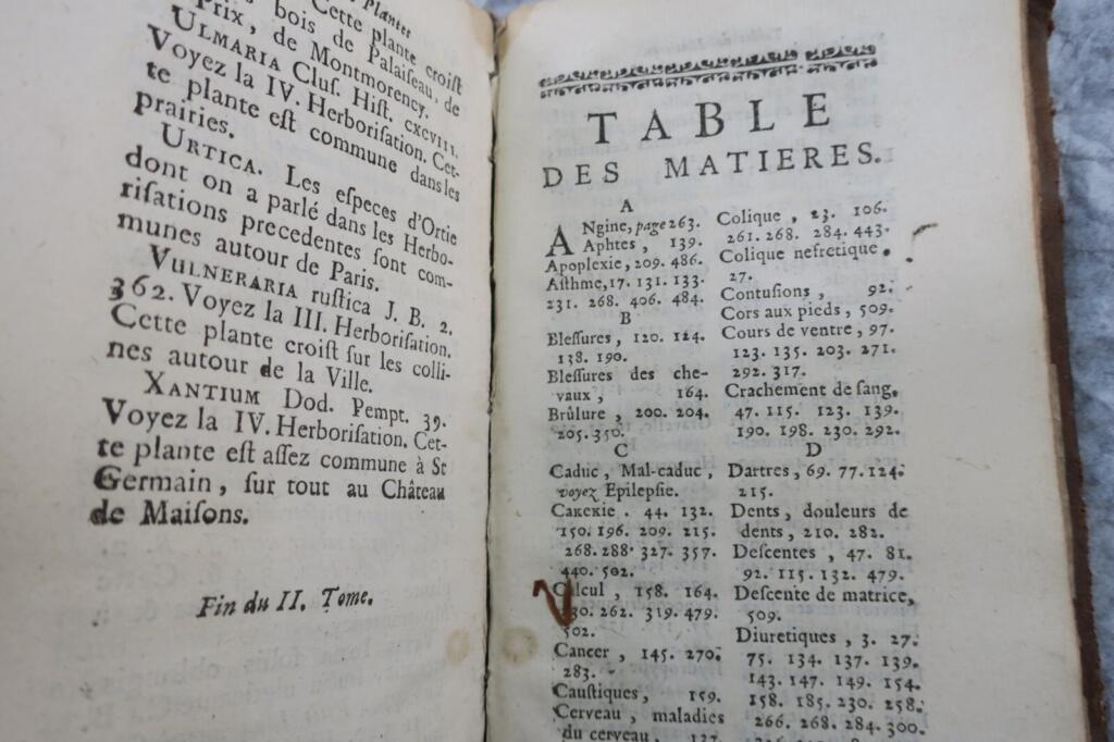 Flora of Paris and its medicinal use