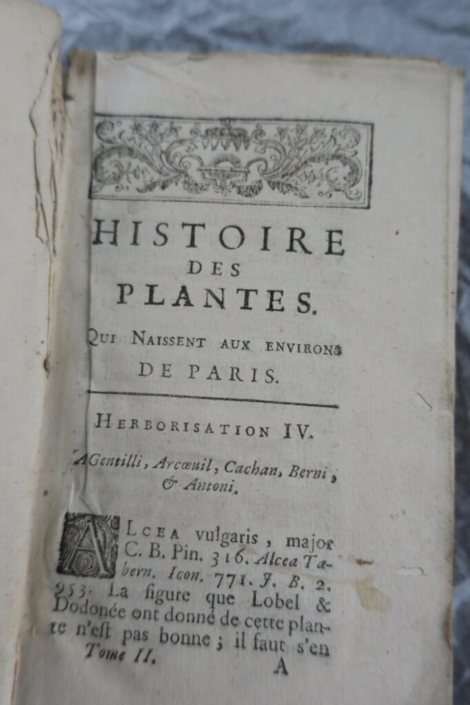Flora of Paris and its medicinal use