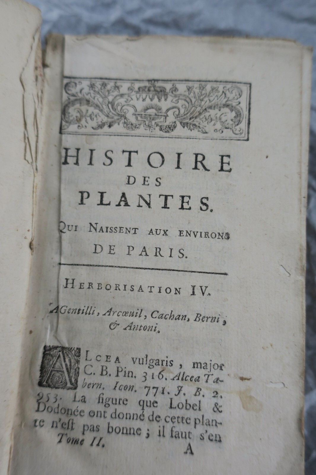 Flora von Paris und ihre medizinische Verwendung - Image 7
