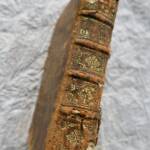 Geschichte der berühmtesten Hofgunsthinge