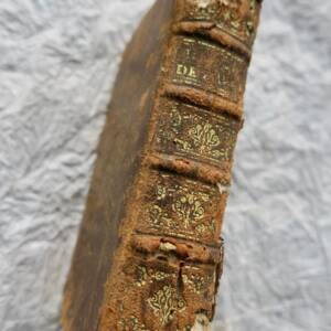 Histoire des plus illustres Favoris anciens et modernes 1660