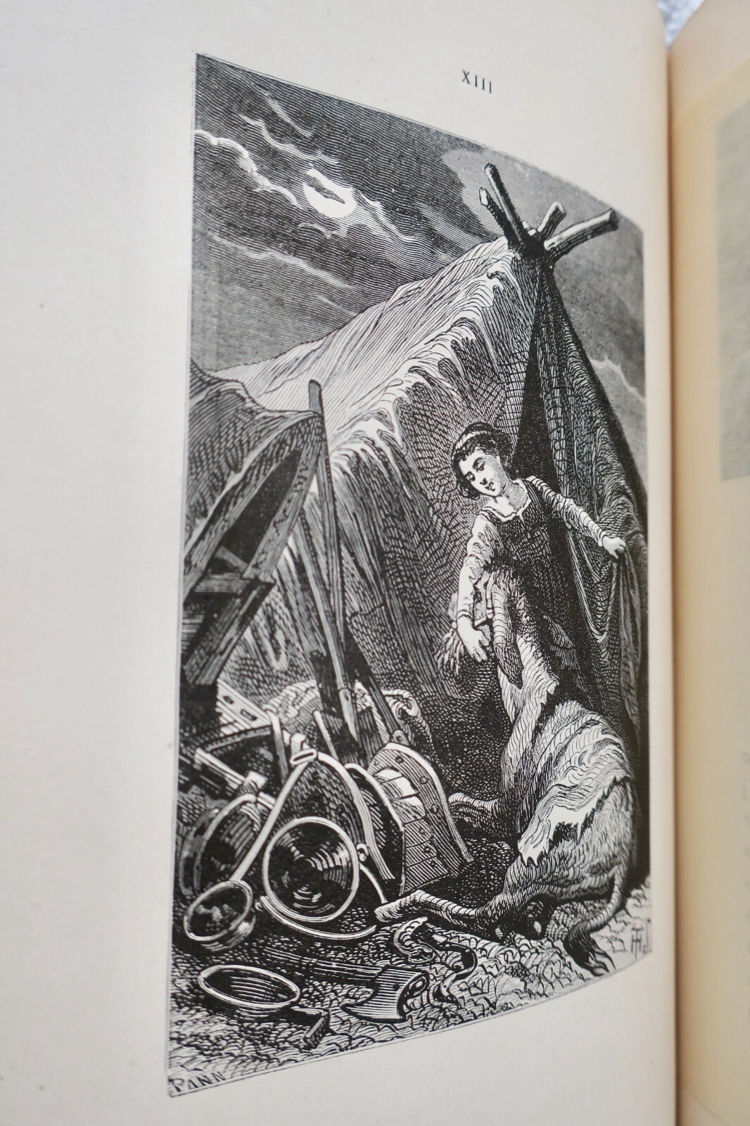 Geschichte eines Esels und zweier junger Mädchen - Image 4