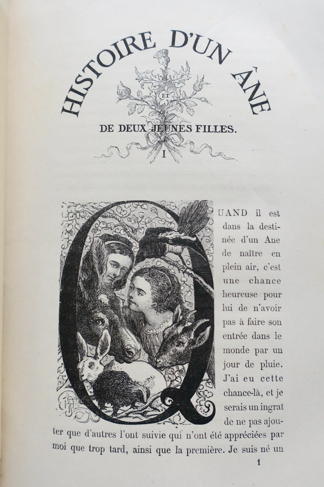 Geschichte eines Esels und zweier junger Mädchen - Image 9