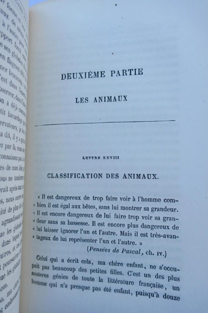 Histoire d’une bouchée de pain. Lettres à une petite fille…Hetzel
