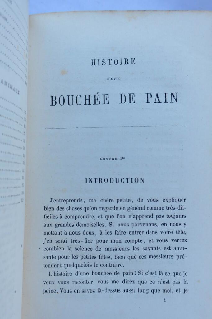Histoire d’une bouchée de pain. Lettres à une petite fille…Hetzel