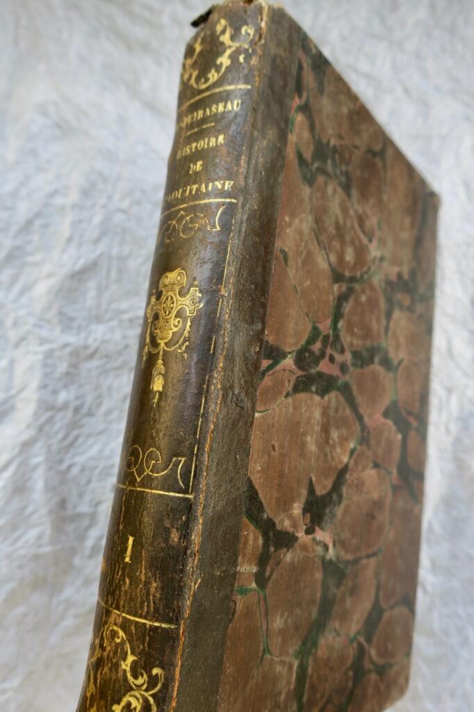 Political and Statistical History of Aquitaine