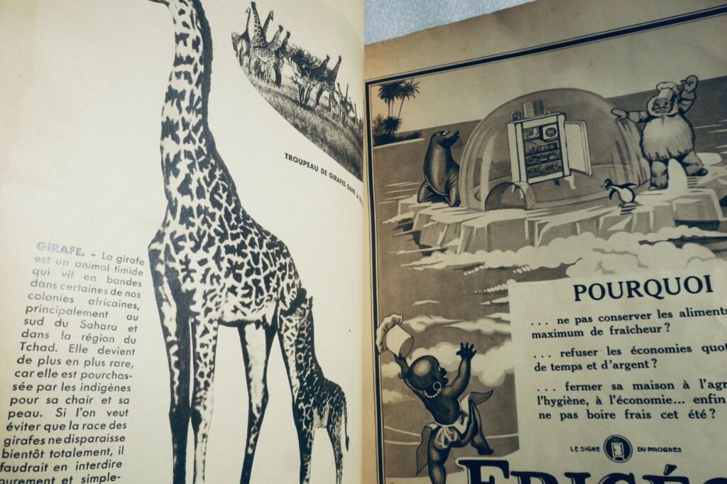 Menschen und Tiere der Französischen Kolonien