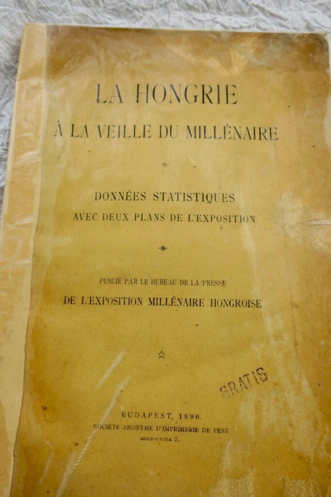 Hungary at the Millennium: Statistical Data and Plans