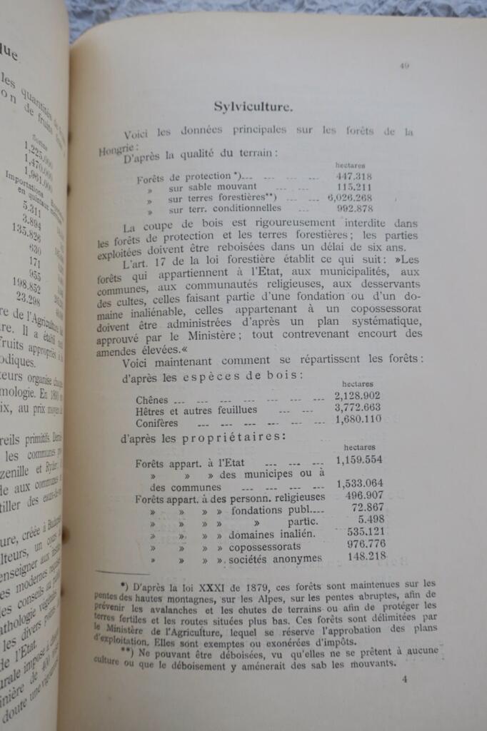 Hungary at the Millennium: Statistical Data and Plans