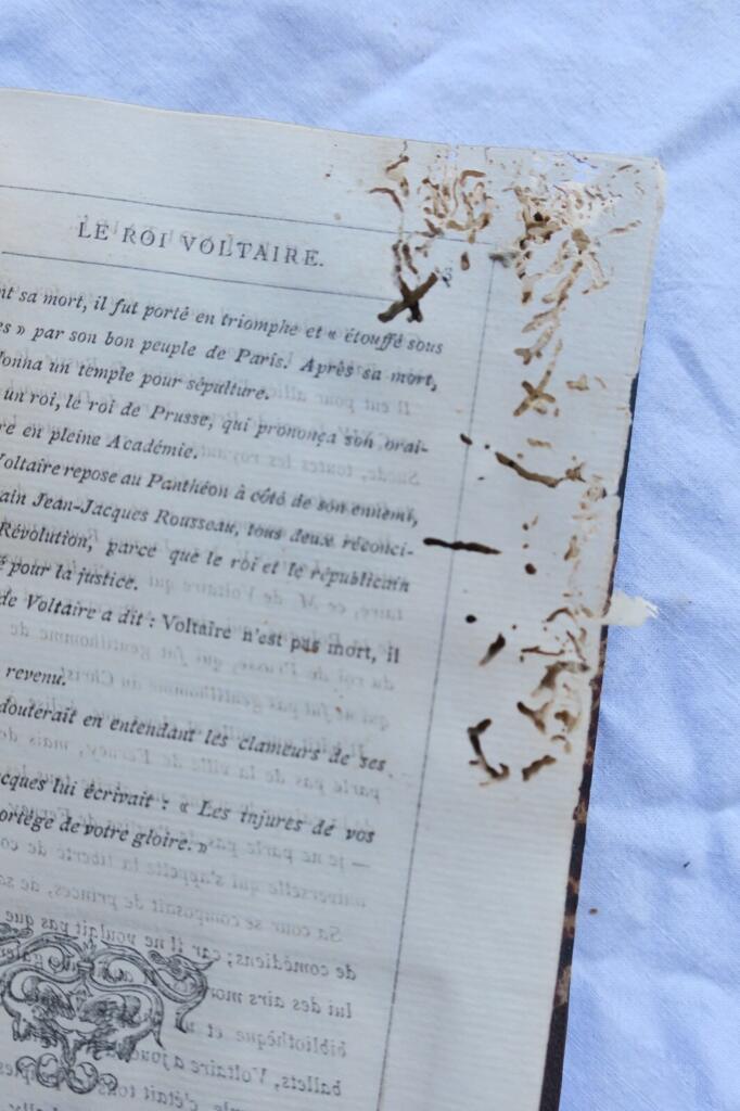 Biografie von Voltaire