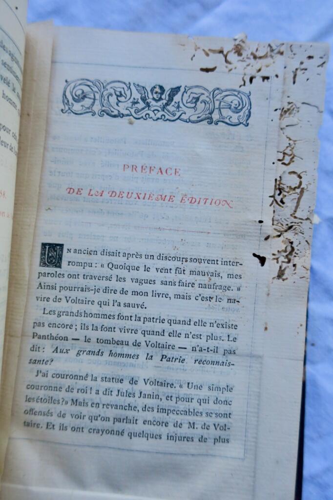 Biografie von Voltaire