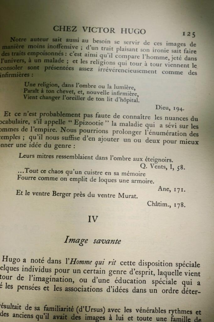 Der Geist in Victor Hugos Poesie