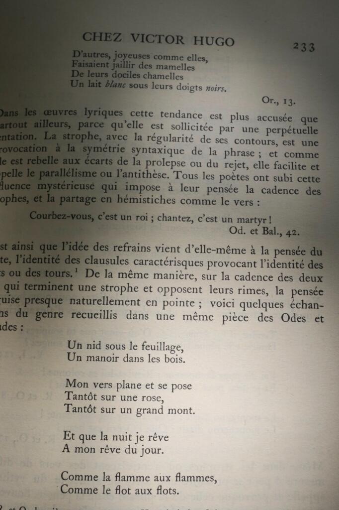 Der Geist in Victor Hugos Poesie