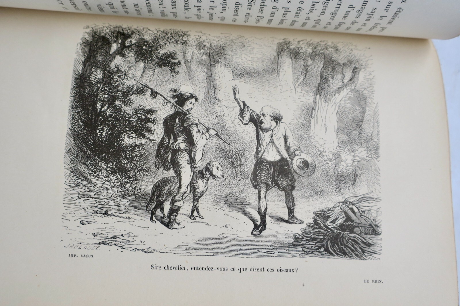 HUGO Victor Houssiaux Le Rhin, lettre à un ami – Image 9
