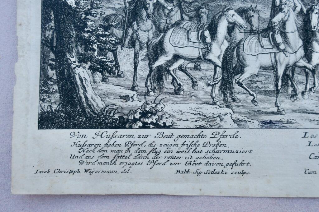 Hussars Steel Engraving