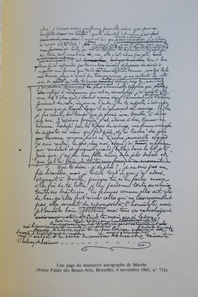 Zwanzig Briefe an Théo Hannon