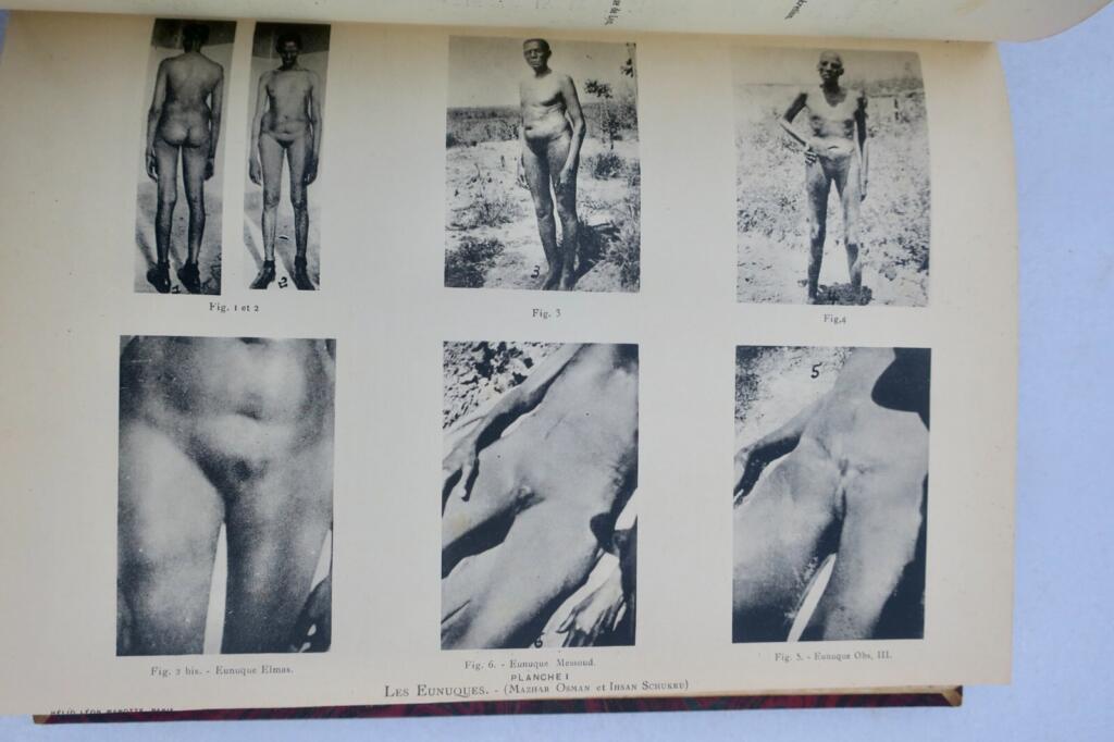 Fachzeitschrift für angewandte Psychiatrie, Jahrgang 31 (1936)