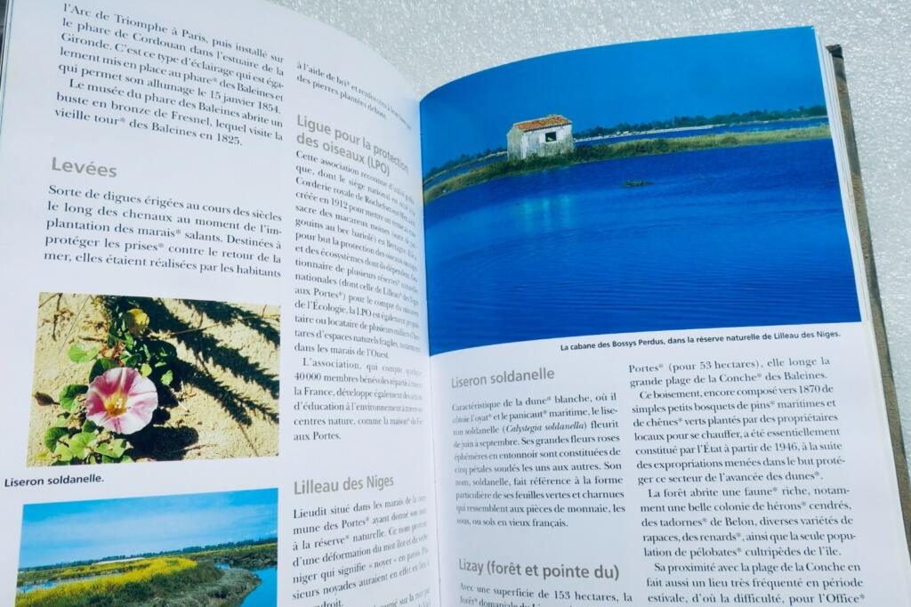 Île de Ré: Umfassendes Nachschlagewerk