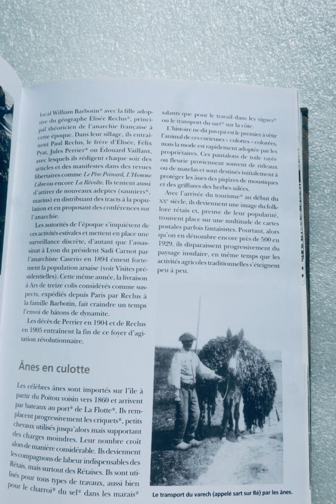 Île de Ré: Umfassendes Nachschlagewerk