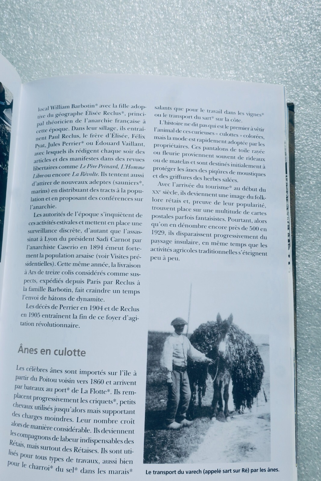 Île de Ré: Comprehensive Encyclopedia - Image 8