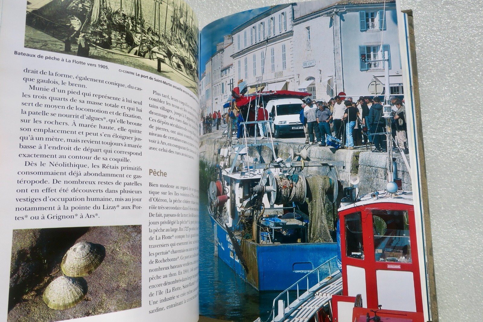 Île de Ré: Comprehensive Encyclopedia - Image 12