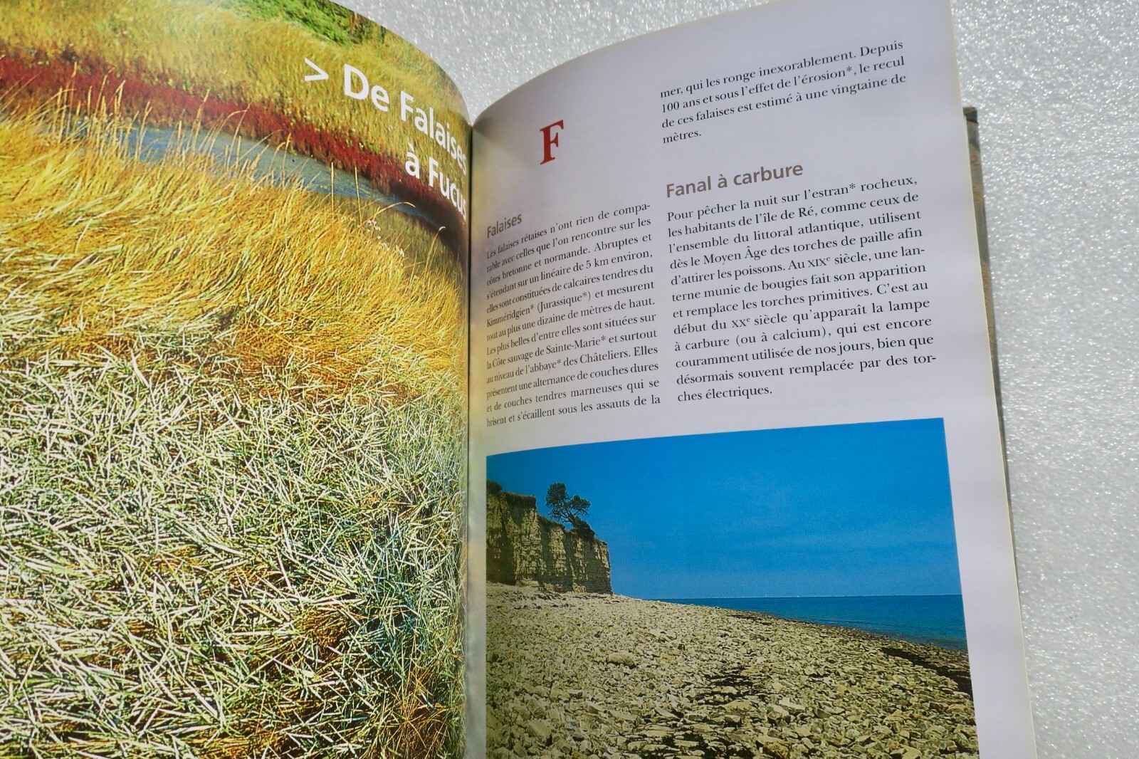 Île de Ré: Comprehensive Encyclopedia - Image 4