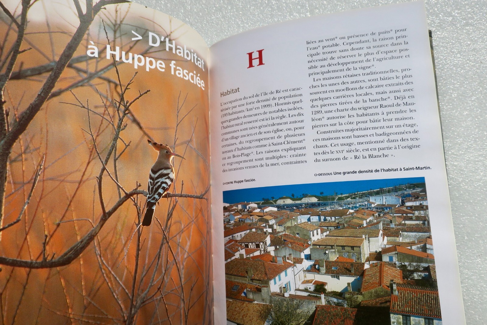 Île de Ré: Comprehensive Encyclopedia - Image 3