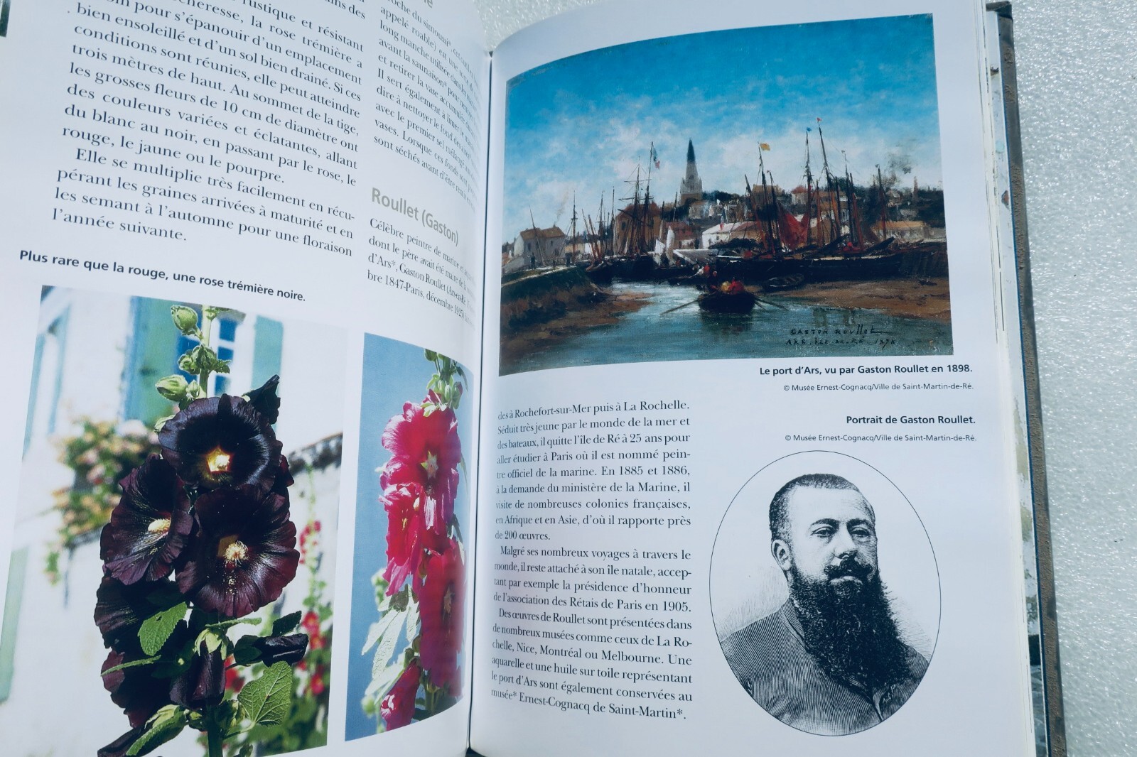 Île de Ré: Comprehensive Encyclopedia - Image 10