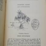 îles du Pacifique : l&rsquo; Océanie, des temps primitifs à nos jours 1952 - La Librairie Antique