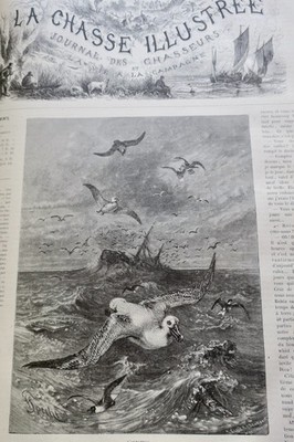 包含丰富木版画的狩猎杂志