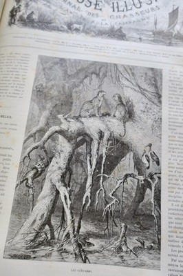 包含丰富木版画的狩猎杂志