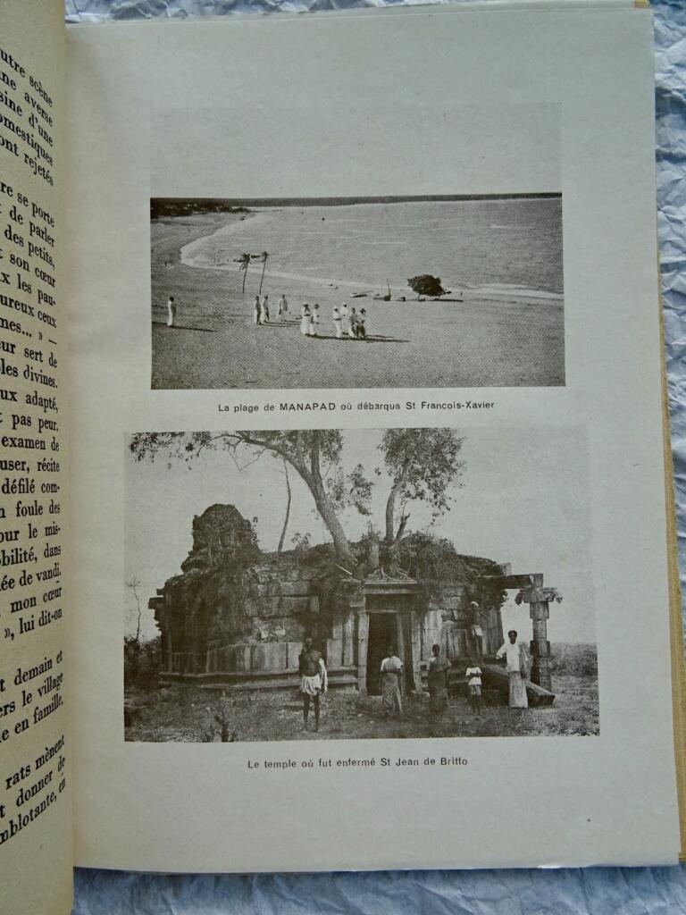 Reiseberichte aus Indien