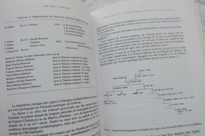Anthropologie der indischen politischen Geschichte