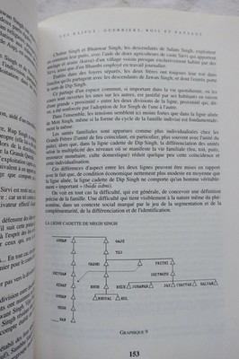 Anthropologie der indischen politischen Geschichte