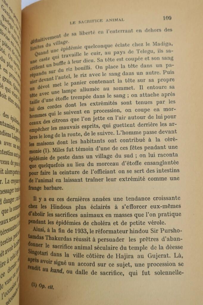 inde Magie blanche et magie noire aux Indes