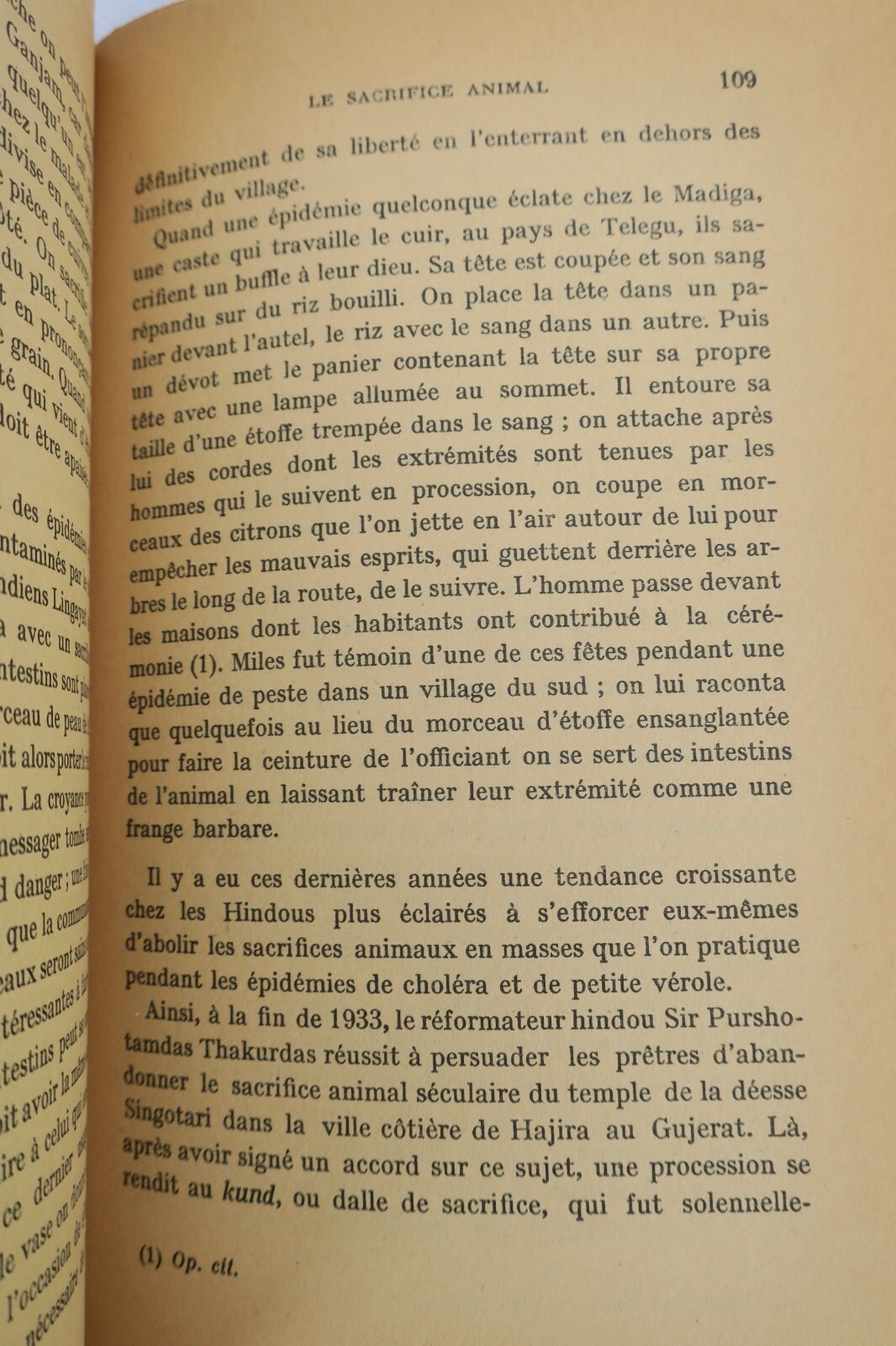 inde Magie blanche et magie noire aux Indes – Image 3